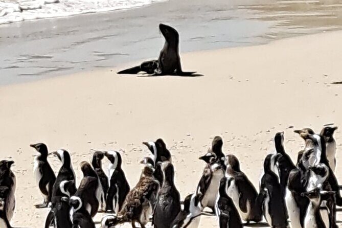 Cape Peninsula Tour Cape Town City - Bantry Bay to Clifton: the Atlantic coast warm-up drive