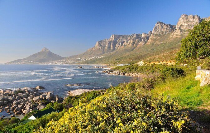 Cape Peninsula Tours - Key things I’d zoom in on before you book
