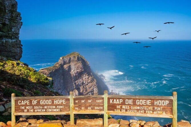 Cape Peninsula Tours - A private Cape Peninsula day beats the usual checklist-tour feel