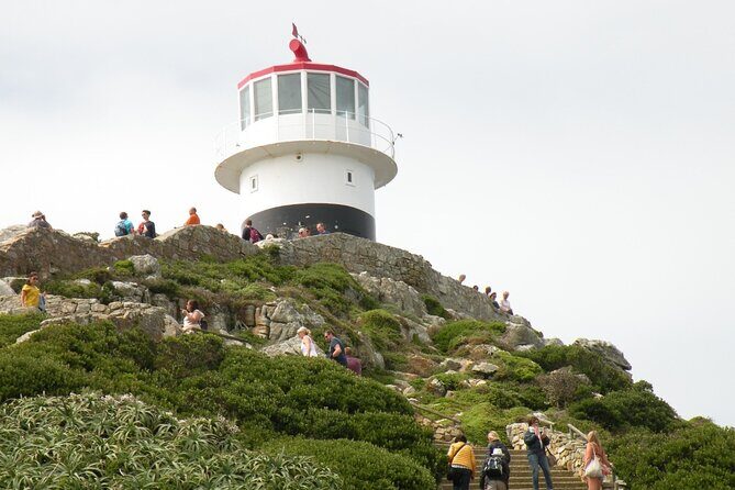 Cape Peninsula Tours - Chapman’s Peak viewpoints: the famous coast, seen the easy way