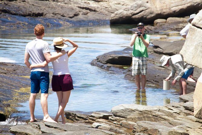 Cape Peninsula with a Marine Biologist - Why a marine biologist changes Cape Town’s coast