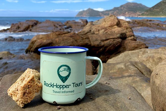 Cape Peninsula with a Marine Biologist - Cape of Good Hope rooibos tasting: quiet shoreline time plus animal watching