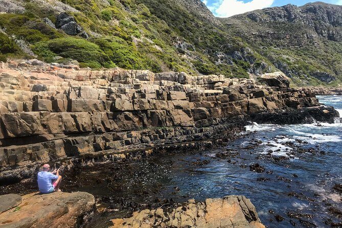 Cape Peninsula with a Marine Biologist - What’s included (and what you’ll pay separately)