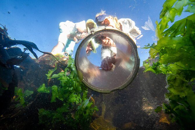 Cape Peninsula with a Marine Biologist - Starting at Chardonnay Deli Constantia: coffee, parking, and a smooth launch