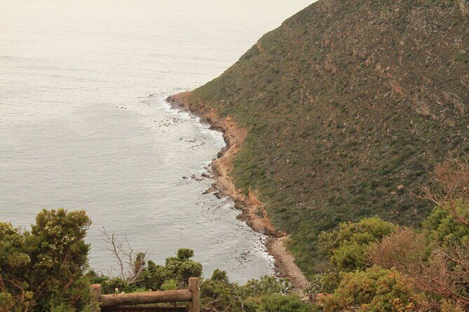 Cape Point and Cape of Good Hope day tour Up to 10 persons - Simonstown and the South African Navy: Where the Sea Feels Protected