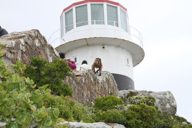 Cape Point and Cape of Good Hope day tour Up to 10 persons - Cape of Good Hope: Museums and the Cape of Storms Story