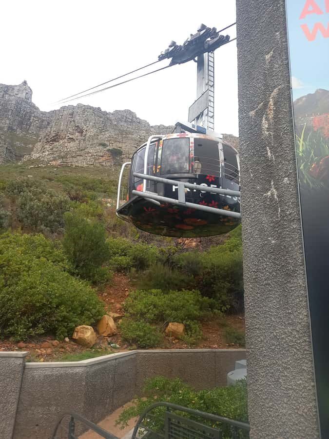 cape point and penguin ,muizenberg, bookapp - Should You Book This Cape Point and Penguins Tour?