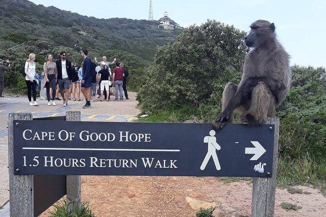 Cape Point, Boulder's Beach in Private Car Entrance Fees Included - Camps Bay beach stop: photos, views, and Table Mountain’s Twelve Apostles angle