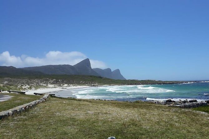 Cape Point, Boulder's Beach in Private Car Entrance Fees Included - Boulders Beach Penguin Colony: your one-hour penguin window