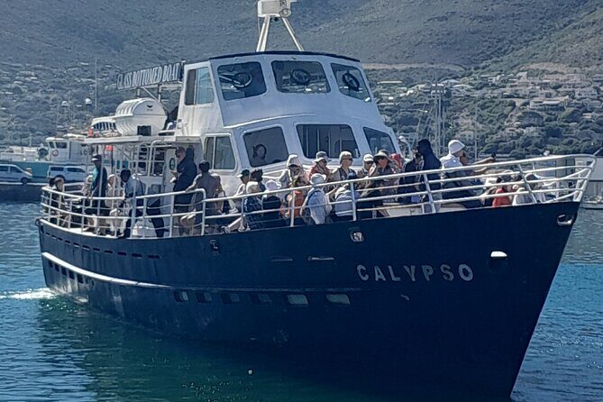 Cape Point Cape Of Good Hope And Penguins Private Tour - Maidens’ Cove to Hout Bay: ocean views plus a real fishing town vibe