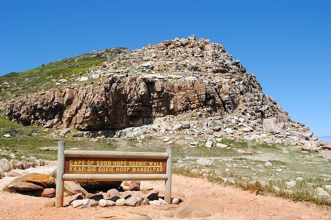 Cape Point ,Cape of Good Hope and Table Mountain Tour . - Boulders Beach Penguin Colony: A Beach Walk With Real Photo Payoff
