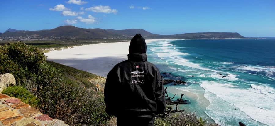 Cape Point Cape of Good Hope, Penguins Private Half day Tour - Who this tour fits best (and who should pick something else)