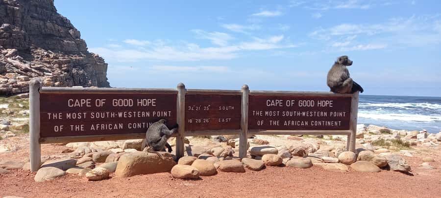 Cape Point Cape of Good Hope, Penguins Private Half day Tour - Cape Point old lighthouse and the meeting of oceans