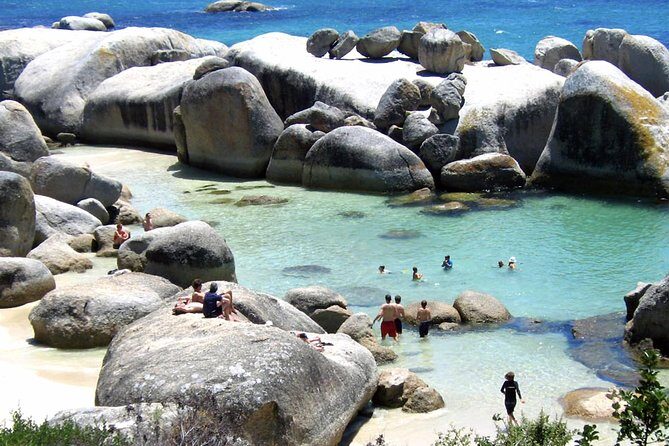 Cape Point Explore with Boulder's Penguins Small Group Day Tour - Chapman’s Peak Drive plus Cape Point reserve: the signature drive with a real nature stop