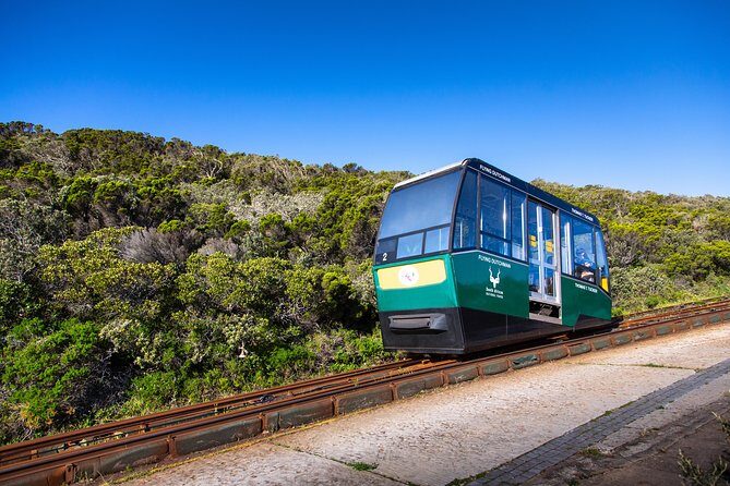 Cape Point Flying Dutchman Funicular Return Ticket - Price and value: why this is one of the cheaper ways to reach Cape Point