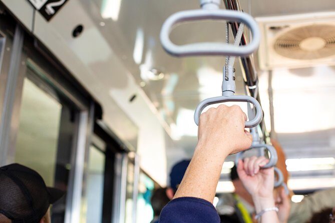Cape Point Flying Dutchman Funicular Return Ticket - From Main Road to the lower station: getting ready for the ride