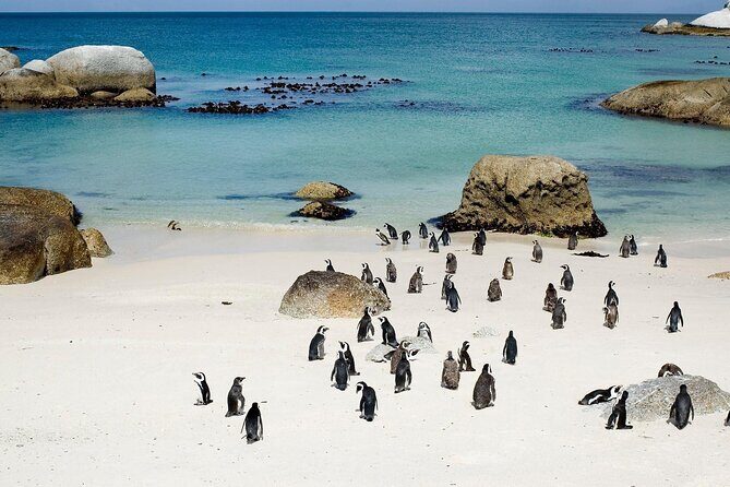 Cape Point Full Day Tour - Cape Point Nature Reserve: Stairs or the Funicular Lighthouse Views