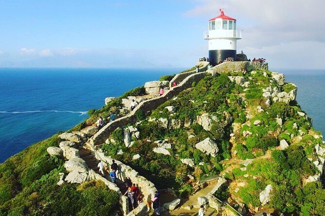 Cape Point Penguin Tour - Chapman’s Peak drive: the best viewpoints need quick decisions