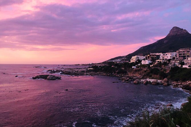 Cape Point Penguin Tour - Simon’s Town and Boulders Beach: where the African penguins become real