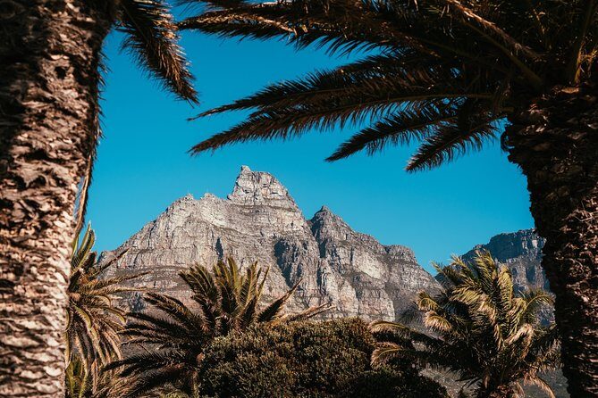Cape Point Penguin Tour - Guide choice matters: Sungani’s calm, adaptable approach
