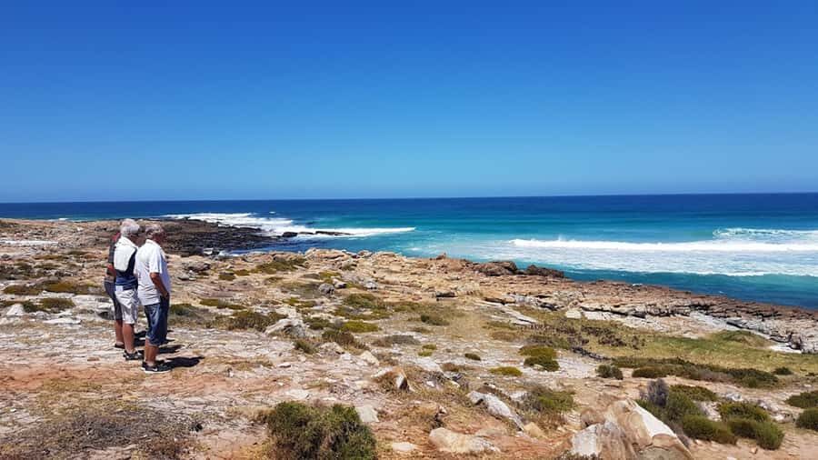 Cape Point & Penguins: Private Cape Peninsula Tour. - Hout Bay and the Atlantic Seaboard: finish with harbor charm and big views