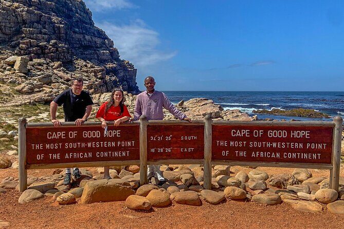 Cape Point, Penguins & Wine Tasting In Constantia Full Day Tour - Hout Bay: Seals, Fish-and-Chips Energy, and a Local-Feel Harbor