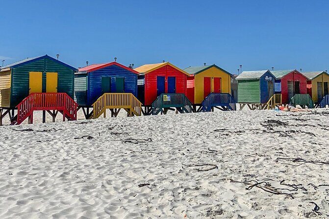 Cape Point, Penguins & Wine Tasting In Constantia Full Day Tour - Constantia Wine Tasting: Old Wine Country, With a Real Guide in the Room