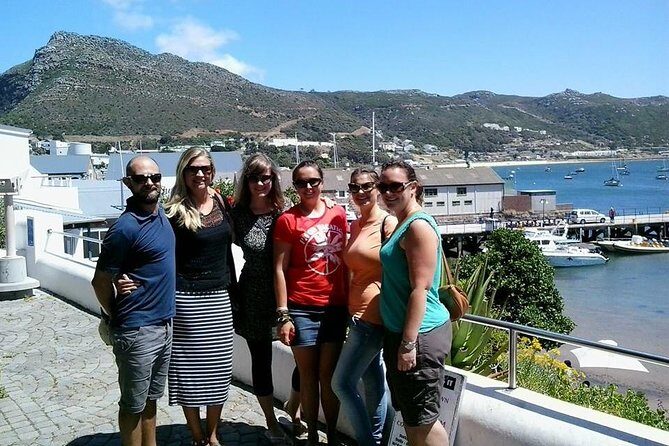 Cape Point Peninsula Tour (Cape To Grape Wine Tours) - Hotel pickup, air-conditioned minivan, and a guide who keeps the day moving