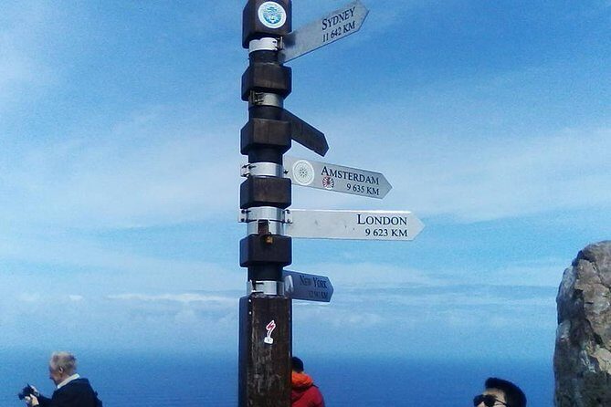 Cape Point Peninsula Tour (Cape To Grape Wine Tours) - Cape Point Nature Reserve and the Cape of Good Hope: lighthouse views and real wildlife country