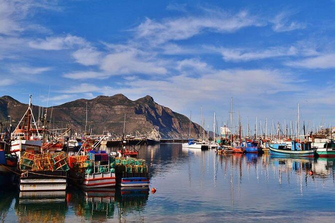Cape Point Peninsula Tour (Cape To Grape Wine Tours) - Scarborough, Noordhoek, and Chapmans Peak Drive: the Cape views in photo-friendly doses