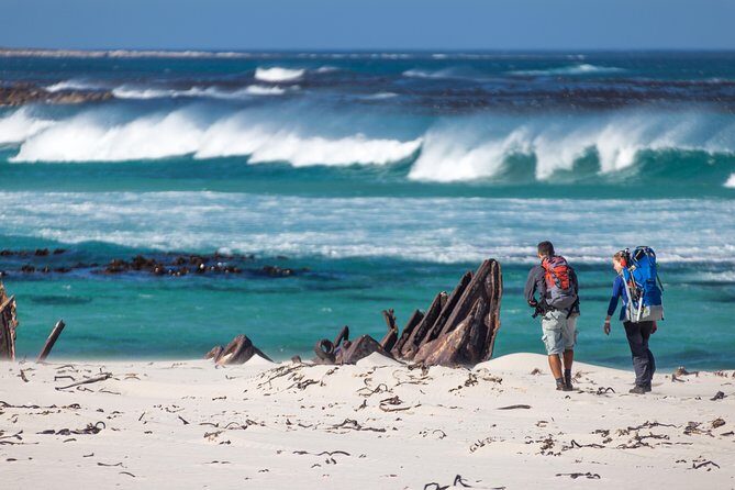 Cape Point Private Nature Tour & Hike - Chapman’s Peak Drive: the quick payoff on the way back