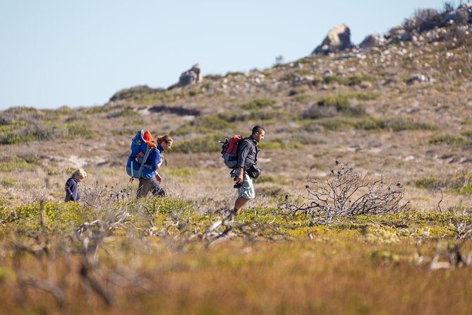 Cape Point Private Nature Tour & Hike - Private pickup with a Cape Peninsula local