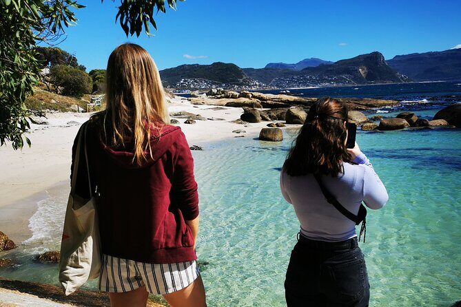 Cape Point Xplorer - Stop 5: Boulders Beach Penguin Colony and the African penguin sanctuary