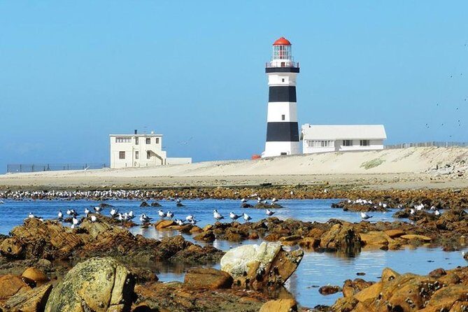 Cape Recife, Lighthouse and 4x4 Grysbok Reserve - HD14 - Stop 1: Cape Recife Lighthouse Villa and what you should pay attention to