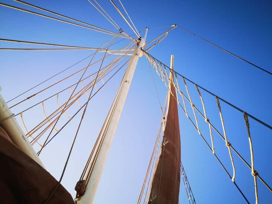 Cape Town: 1 Hour Table Bay Sailing Tour - Wildlife moments: what you might see (and what to expect realistically)