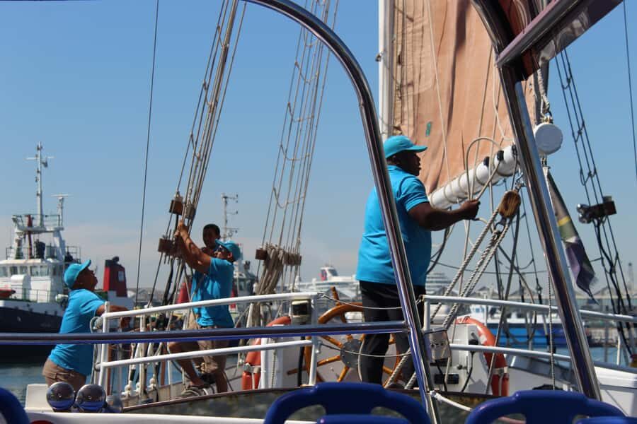 Cape Town: 1 Hour Table Bay Sailing Tour - It’s only one hour—so use it for the right kind of traveler