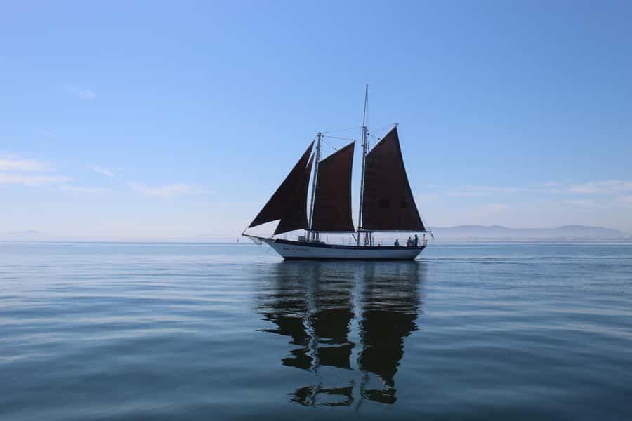 Cape Town: 1 Hour Table Bay Sailing Tour - The Spirit of Victoria feel: laid-back sailing, friendly crew energy