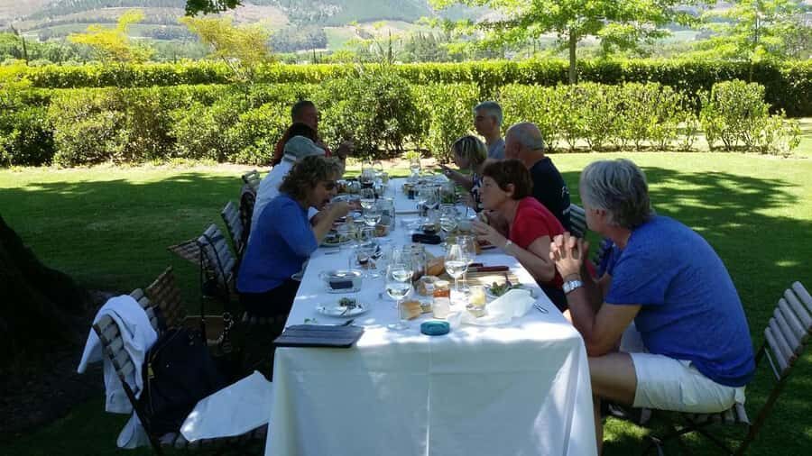 Cape Town: 15 Wine Tasting & Wildlife Small Group Tour - Key highlights to know before you go