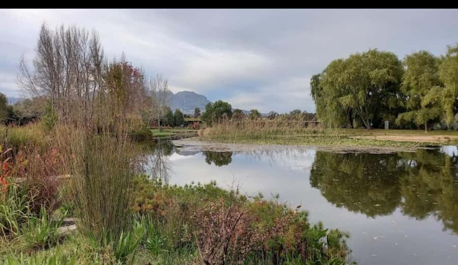 Cape Town: 15 Wine Tasting & Wildlife Small Group Tour - House of J.C. Le Roux in Devon Valley: bubbles, method, and pairings