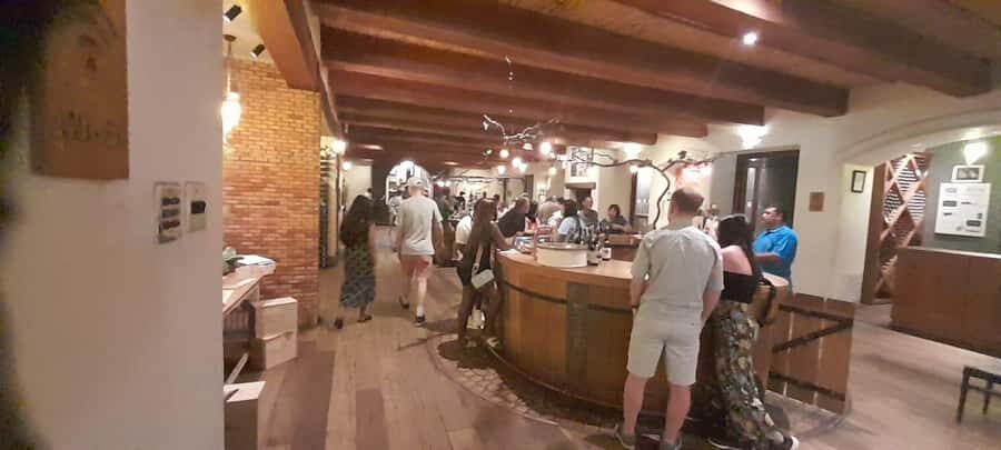 Cape Town: 15 Wine Tasting & Wildlife Small Group Tour - A tasting stop after town and the Groot Drakenstein scenic change of pace