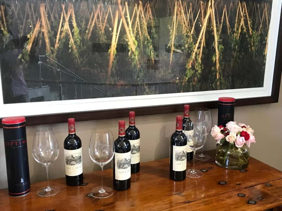 Cape Town: 15 Wine Tasting & Wildlife Small Group Tour - What you’re really paying for at $112 per person
