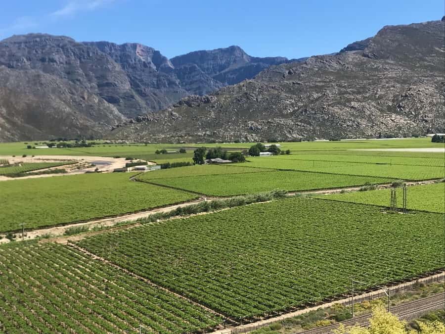 Cape Town: 15 Wine Tasting & Wildlife Small Group Tour - Vredenheim Wine Estate and its wildlife park time