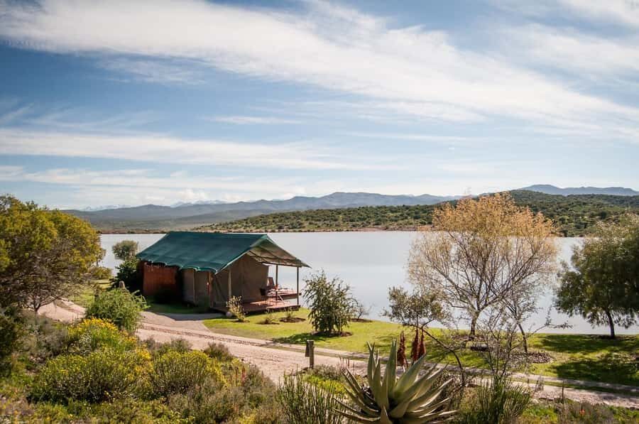 Cape Town: 2-Day Wildlife Tour with Safaris and Luxury Stay - Practical tips to make the most of your two safari days