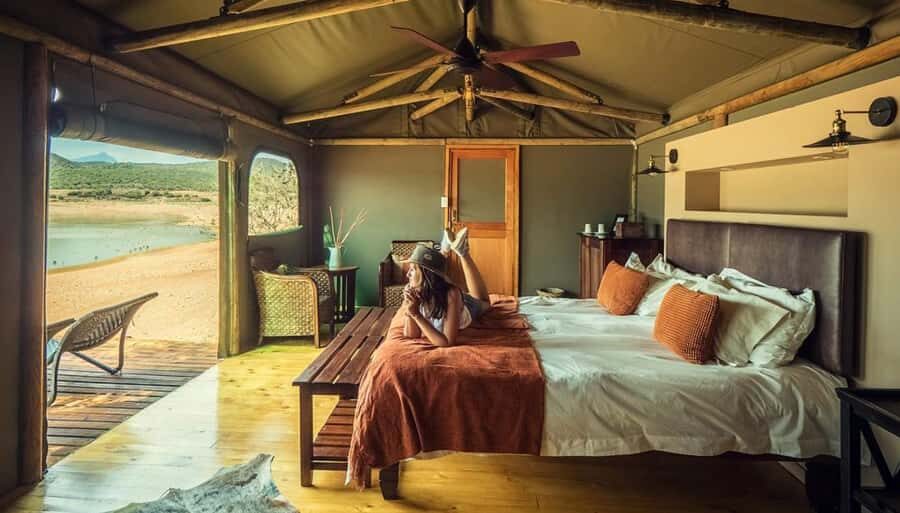 Cape Town: 2-Day Wildlife Tour with Safaris and Luxury Stay - Cape Town to Botlierskop: your morning drive into malaria-free game reserve country