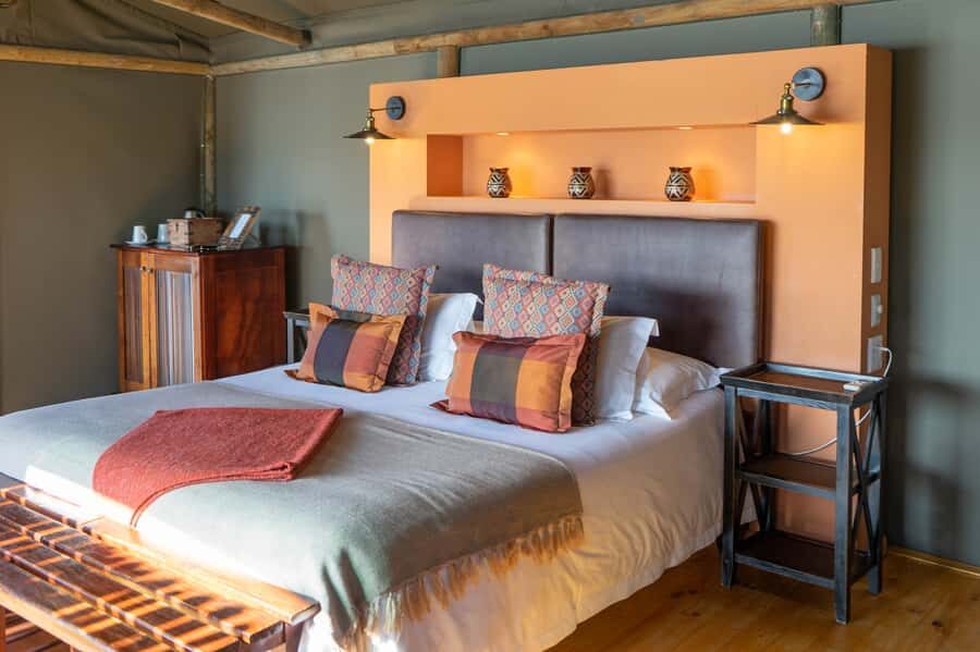 Cape Town: 2-Day Wildlife Tour with Safaris and Luxury Stay - Who this tour suits (and who should skip it)