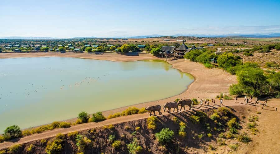 Cape Town: 2-Day Wildlife Tour with Safaris and Luxury Stay - Botlierskop 4x4 safari: what Big Five searching really feels like