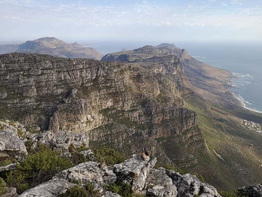 Cape Town: 3-Hour Table Mountain Hike via Platteklip Gorge - Hike through a living place: nature and history lessons on the way up