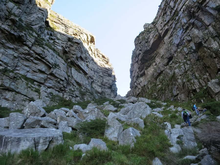 Cape Town: 3-Hour Table Mountain Hike via Platteklip Gorge - Starting at Tafelberg Road: safety first, views second