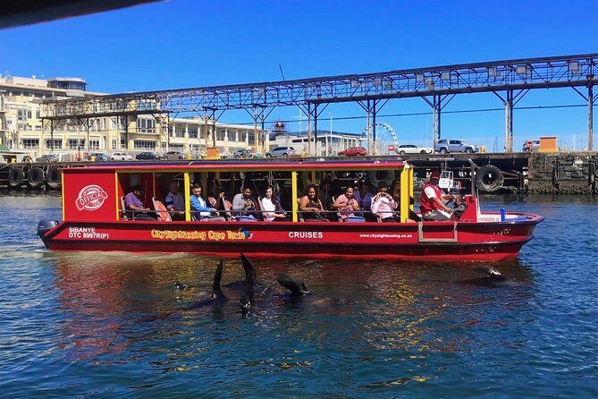 Cape Town 30-minute V&A Harbour Cruise - What you’ll actually see: Alfred and Victoria basins, plus seals