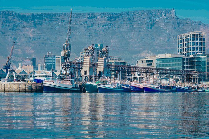 Cape Town 30-minute V&A Harbour Cruise - Price and value: $4.91 for a guided harbor loop